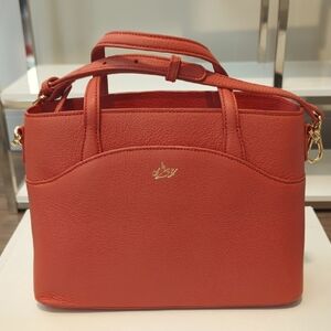 BNIB Tang Dynasty Grace Crossbody Bag In Canyon Orange